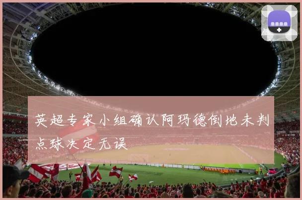 英超专家小组确认阿玛德倒地未判点球决定无误